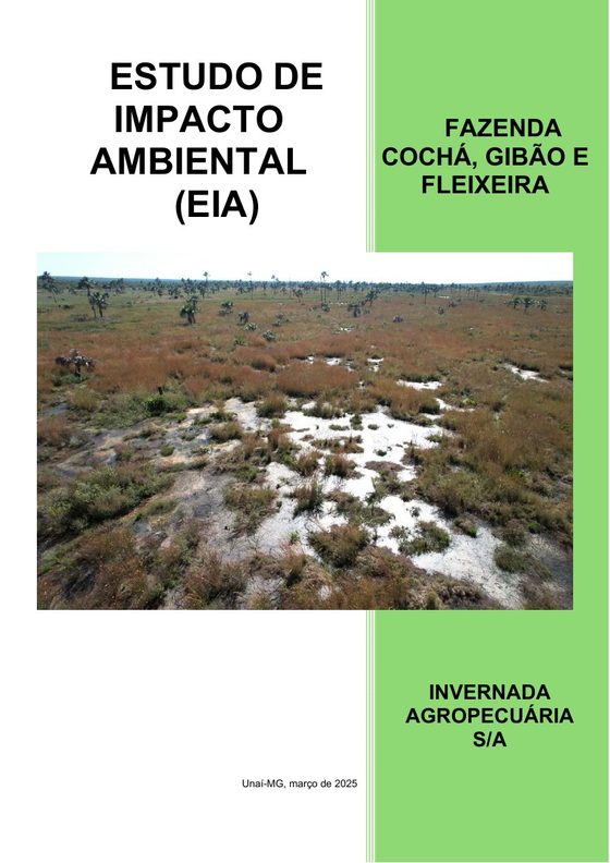 Capa do documento EIA