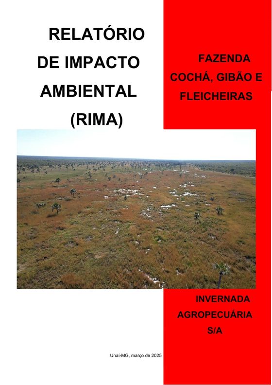 Capa do documento RIMA